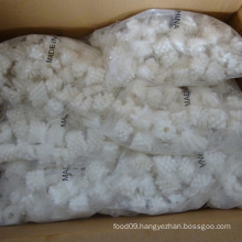 Squid flower cut from wing 100% NW factory price